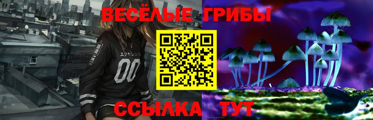 Старая Купавна  Галлюциногенные грибы Psilocybe  Вход с VPN  Галлюциногенные грибы Psilocybine cubensis 